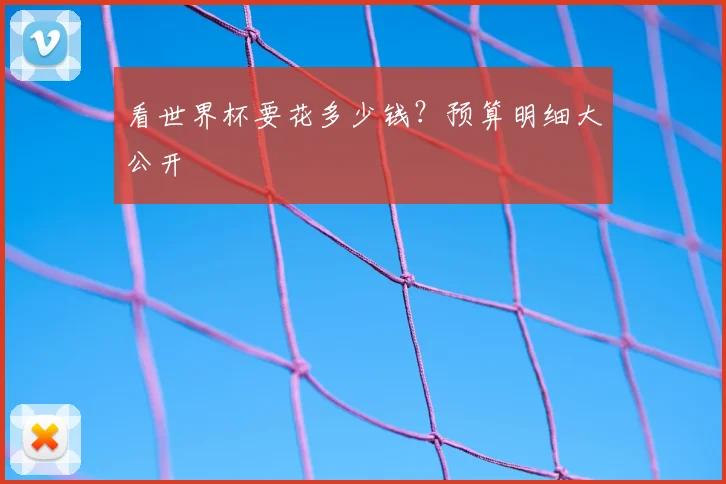 看世界杯要花多少钱？预算明细大公开