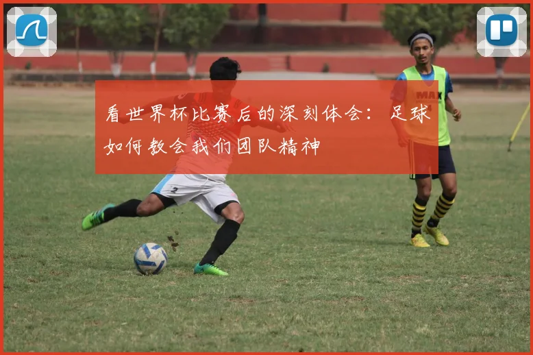 看世界杯比赛后的深刻体会：足球如何教会我们团队精神