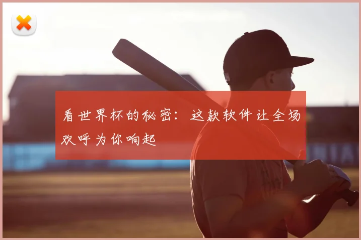 看世界杯的秘密：这款软件让全场欢呼为你响起