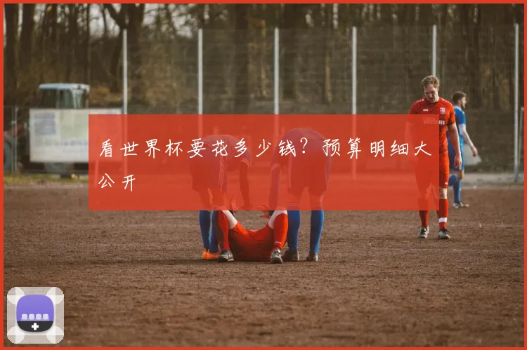 看世界杯要花多少钱？预算明细大公开