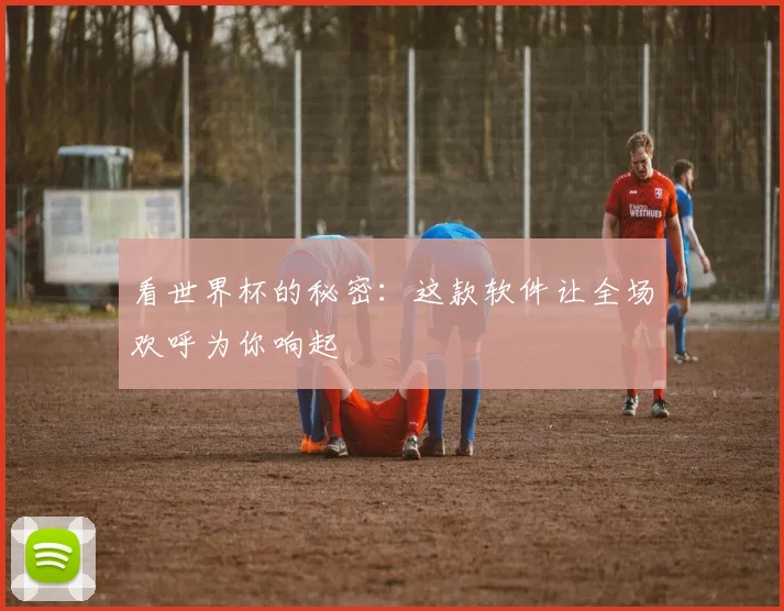 看世界杯的秘密：这款软件让全场欢呼为你响起