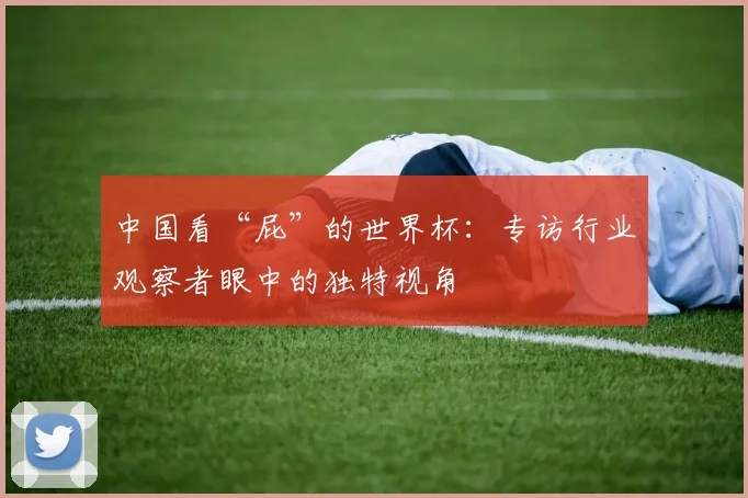 中国看“屁”的世界杯:专访行业观察者眼中的独特视角