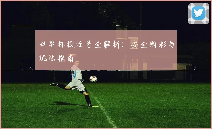 世界杯投注号全解析:安全购彩与玩法指南